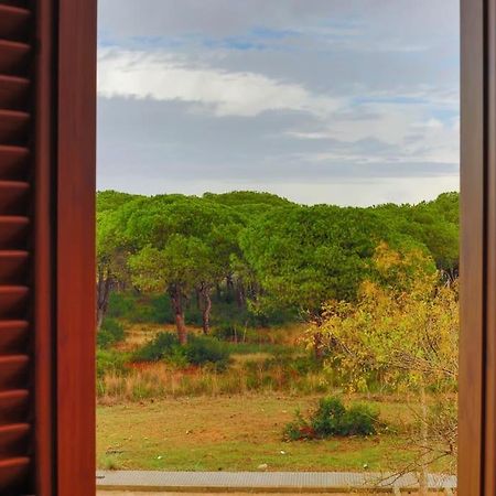 Precioso Apartamento A 700 M Del Mar Chiclana de la Frontera Eksteriør bilde
