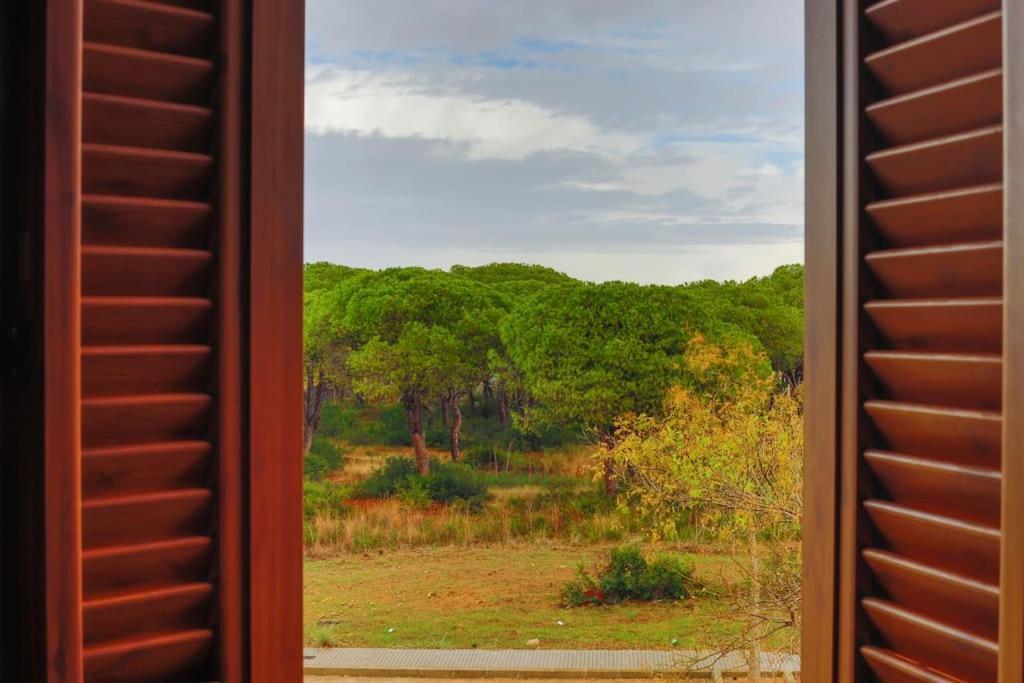 Precioso Apartamento A 700 M Del Mar Chiclana de la Frontera Eksteriør bilde